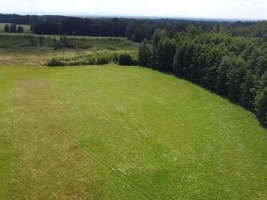 Prodej lesa, Chlum u Třeboně - Žíteč, 220000 m2