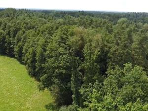 Prodej louky, Chlum u Třeboně - Žíteč, 220000 m2