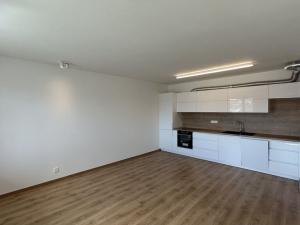 Pronájem bytu 3+kk, České Budějovice - České Budějovice 5, Fr. Škroupa, 72 m2