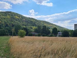 Prodej pozemku pro komerční výstavbu, Ústí nad Labem, Petrovická, 14946 m2