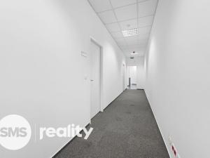 Pronájem obchodního prostoru, Brno - Trnitá, Škrobárenská, 450 m2