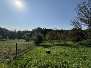 Prodej rodinného domu, Vojkovice, 200 m2