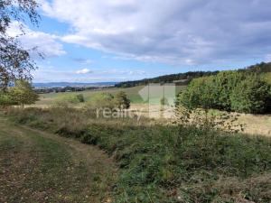 Prodej pozemku pro bydlení, Písek - Budějovické Předměstí, 5935 m2