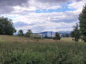 Prodej pozemku pro bydlení, Písek - Budějovické Předměstí, 5935 m2