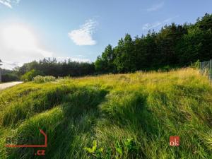 Prodej pozemku pro bydlení, Bukovany, 996 m2