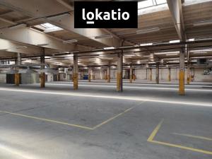 Pronájem skladu, Litoměřice, Želetická, 3903 m2