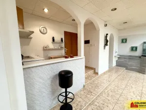 Prodej rodinného domu, Sebranice, 220 m2