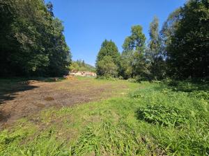 Prodej trvalého travního porostu, Letovice, Podlesí, 1981 m2