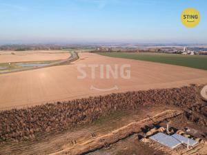 Prodej pozemku pro bydlení, Velký Beranov, 810 m2