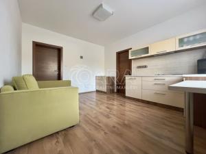 Pronájem bytu 2+kk, Brno - Soběšice, Borová, 32 m2