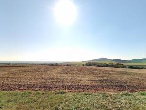 Prodej zemědělské půdy, Chožov, 12389 m2