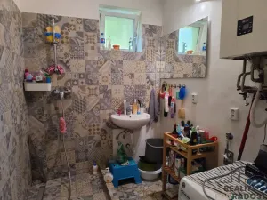 Prodej vícegeneračního domu, Brno - Ořešín, Odlehlá, 395 m2