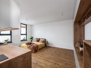 Pronájem bytu 1+kk, Strakonice, U Sv. Markéty, 34 m2