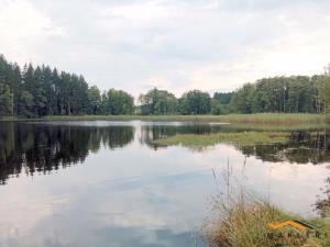 Prodej zemědělského objektu, Horní Radouň - Starý Bozděchov, 2600 m2