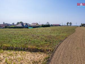 Prodej pozemku pro bydlení, Zbizuby, 10100 m2