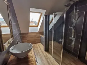 Prodej obchodního prostoru, Sušice, náměstí Svobody, 1250 m2