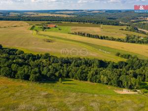 Prodej trvalého travního porostu, Albrechtice nad Vltavou - Hladná, 6183 m2