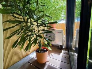 Pronájem bytu 1+kk, Praha - Nusle, K sídlišti, 42 m2