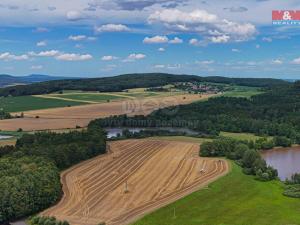 Prodej chaty, Mýto, 39 m2