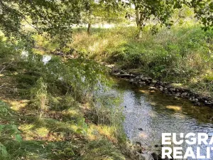 Prodej trvalého travního porostu, Šluknov, 14798 m2