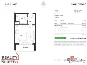 Prodej bytu 1+kk, Plzeň, Goldscheiderova, 42 m2