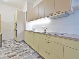 Pronájem bytu 1+1, Brno, Mášova, 55 m2