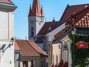 Prodej činžovního domu, Znojmo, Přemyslovců, 441 m2