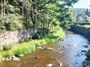 Prodej chalupy, Planá - Pavlovice, 110 m2