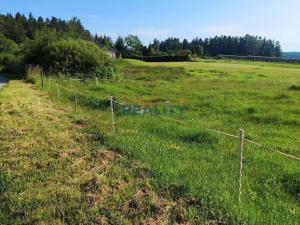 Prodej zemědělské usedlosti, Besednice, Ke Střelnici, 155 m2