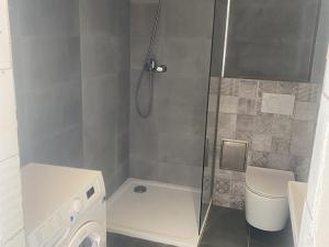 Pronájem bytu 1+kk, Dolní Břežany, 28 m2