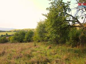 Prodej trvalého travního porostu, Žandov - Radeč, 3251 m2