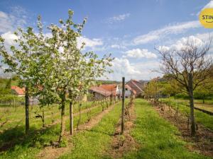 Prodej rodinného domu, Šardice, 85 m2
