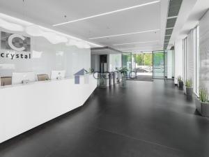 Pronájem kanceláře, Praha - Vinohrady, Vinohradská, 485 m2