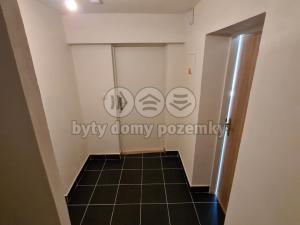 Pronájem bytu 1+kk, Dolní Loučky, 45 m2