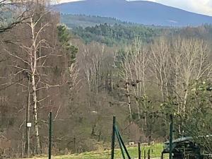 Prodej pozemku pro bydlení, Janovice v Podještědí, 2608 m2