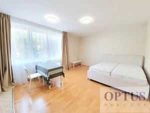 Pronájem bytu 1+kk, Praha - Vinohrady, U Zvonařky, 36 m2