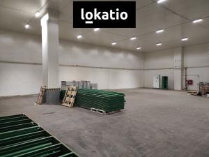 Pronájem skladu, Bohušovice nad Ohří, 1030 m2