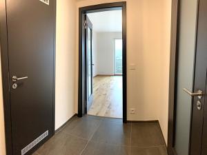 Pronájem bytu 1+kk, Praha - Modřany, Kolmanova, 44 m2