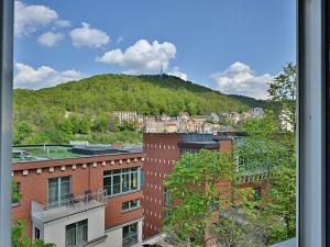 Prodej bytu 3+1, Karlovy Vary, Poděbradská, 120 m2