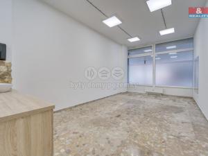 Pronájem obchodního prostoru, Plzeň - Bolevec, Sokolovská, 310 m2