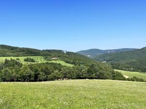 Prodej pozemku pro bydlení, Vyškovec, 29133 m2