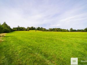 Prodej pozemku pro bydlení, Člunek - Kunějov, 14074 m2