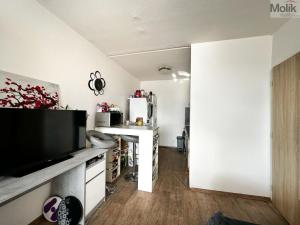 Prodej bytu 2+kk, Teplice - Prosetice, Rovná, 40 m2