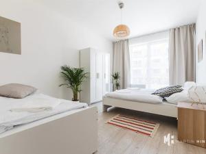 Pronájem bytu 2+kk, Praha - Dejvice, Lindleyova, 50 m2