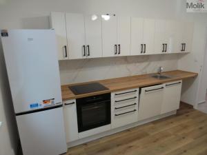 Pronájem bytu 2+1, Litvínov - Chudeřín, Tyrše a Fügnera, 56 m2