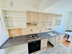 Pronájem bytu 2+1, České Budějovice, J. Plachty, 55 m2