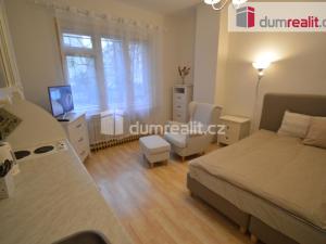 Pronájem bytu 1+kk, Praha - Vinohrady, Vinohradská, 30 m2