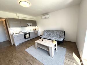 Pronájem bytu 2+kk, Olomouc, Dolní Novosadská, 41 m2