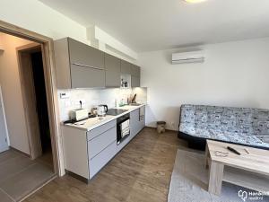 Pronájem bytu 2+kk, Olomouc, Dolní Novosadská, 41 m2