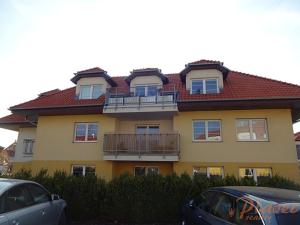 Pronájem bytu 1+kk, Holubice, Platanová, 48 m2